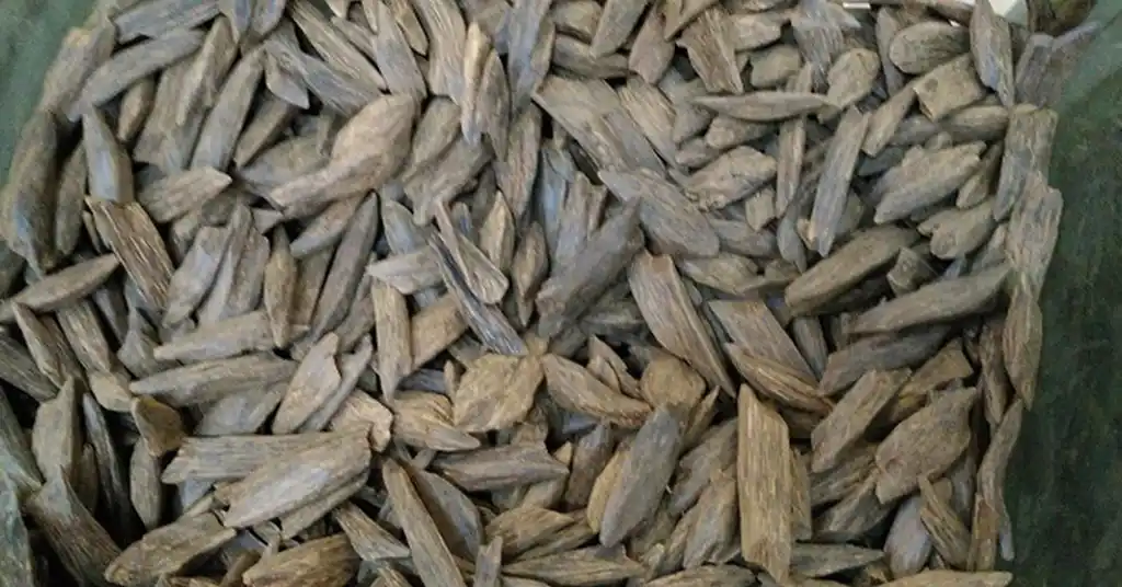 Harga Kayu Gaharu di Malaysia Terkini