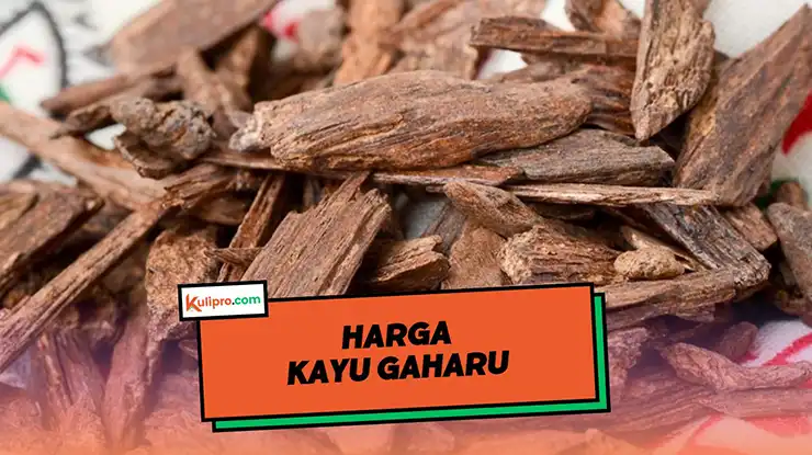Harga Kayu Gaharu