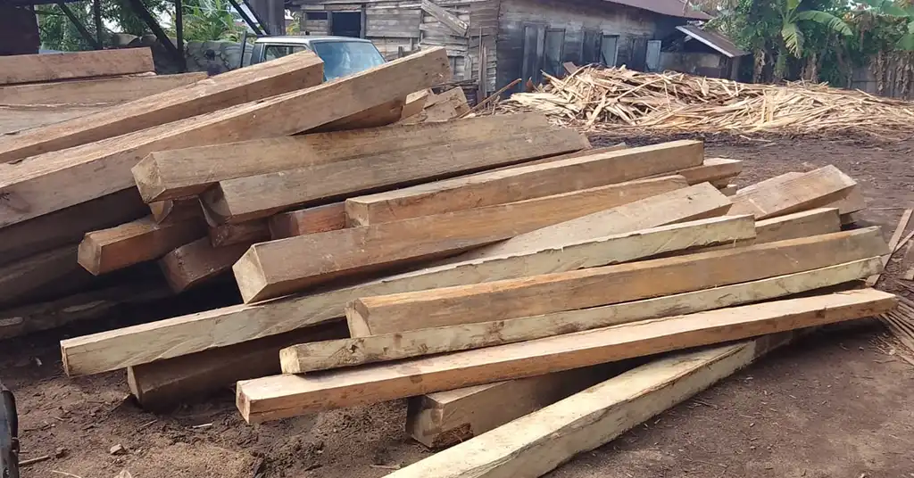 Kayu Belian