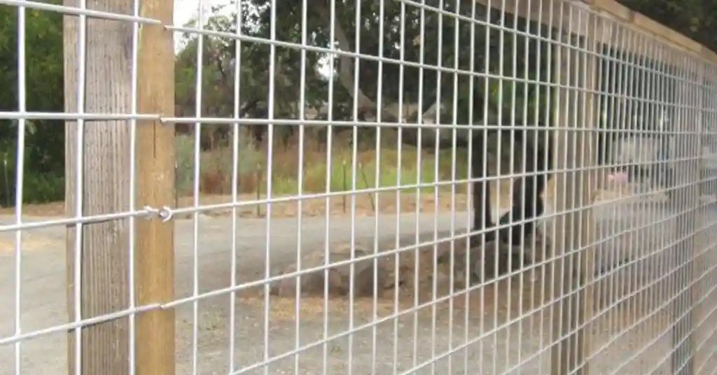Pagar Anti Climb Mesh Wire Mesh