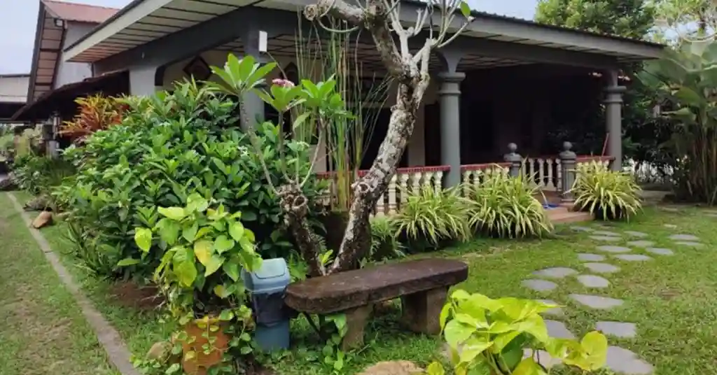 15. Halaman Hijau