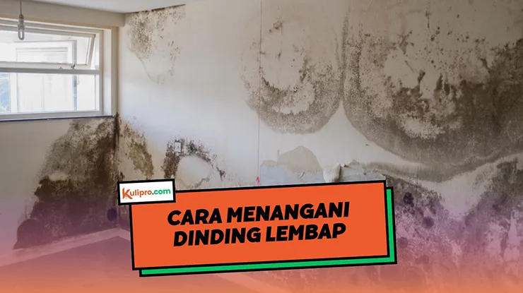 Cara Menangani Dinding Lembap