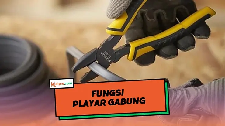 Fungsi Playar Gabung