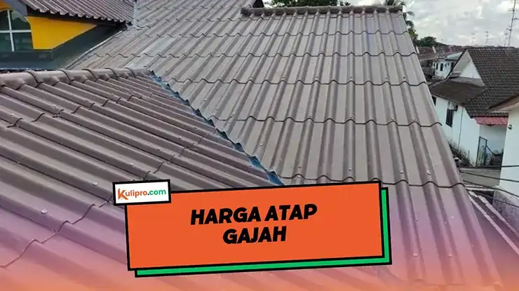 Harga Atap Gajah