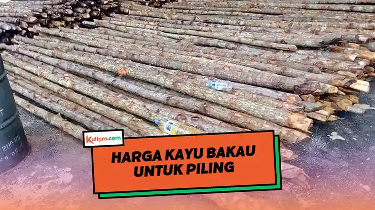 Harga Kayu Bakau untuk Piling