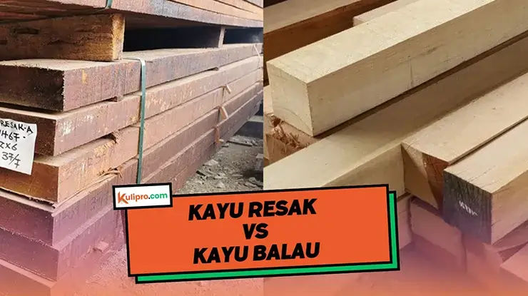 Kayu Resak VS Kayu Balau