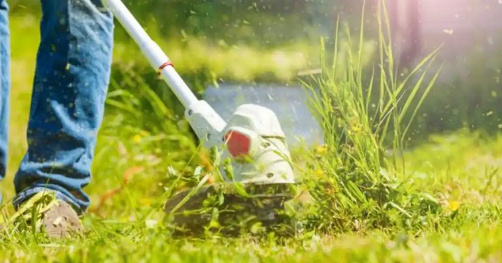 Keuntungan Sewa Mesin Potong Rumput
