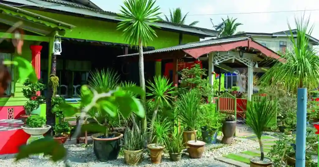Mewujudkan Landskap Halaman Rumah Kampung