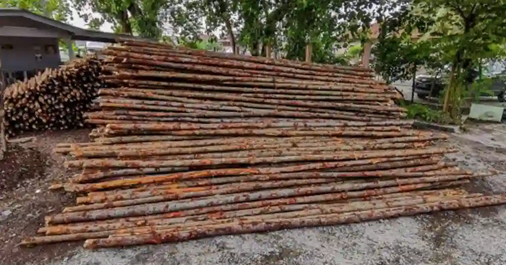 Pembekal Kayu Bakau di Malaysia