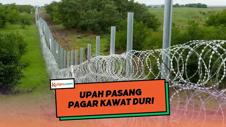 Upah Pasang Pagar Kawat Duri
