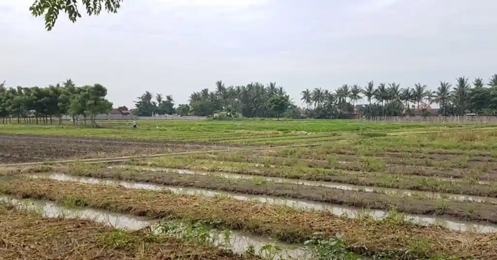 Anggaran Kos Pecah Geran Tanah Pertanian