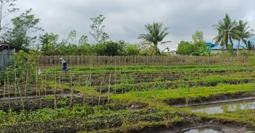 Penentu Kos Pecah Geran Tanah Pertanian