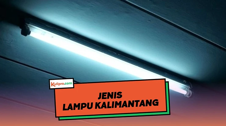 Jenis Lampu Kalimantang