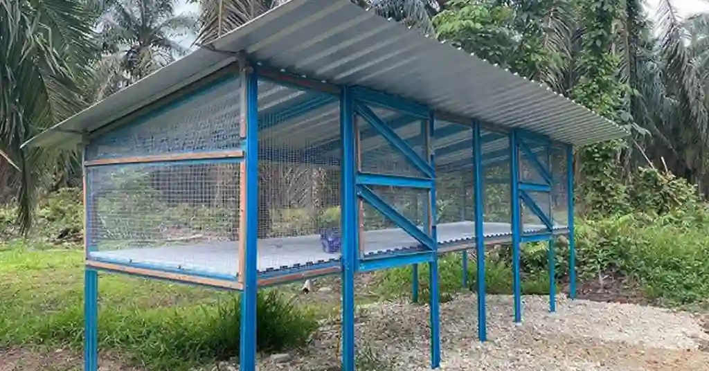 Kos Buat Reban Ayam di Malaysia