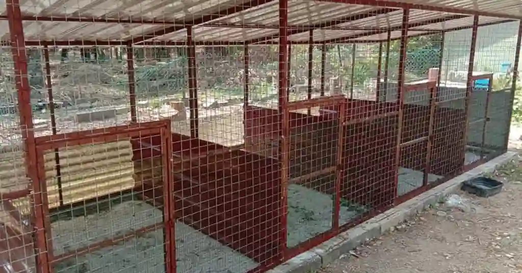 Menjimatkan Kos dalam Pembinaan Reban Ayam