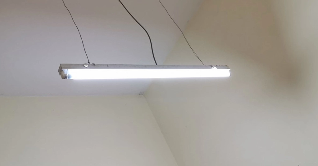 Penggunaan Terbaik Lampu Kalimantang