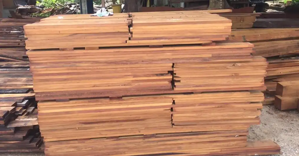 2. Kayu Cengal