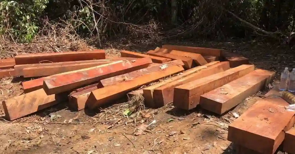 4. Kayu Merbau
