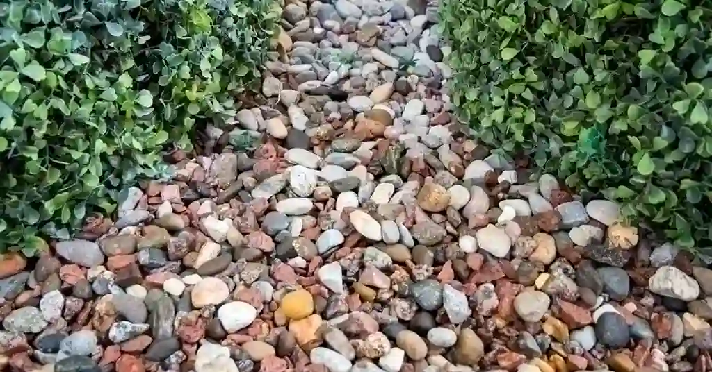 Panduan Memilih Batu Hiasan Landskap