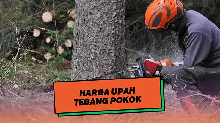 Harga Upah Tebang Pokok