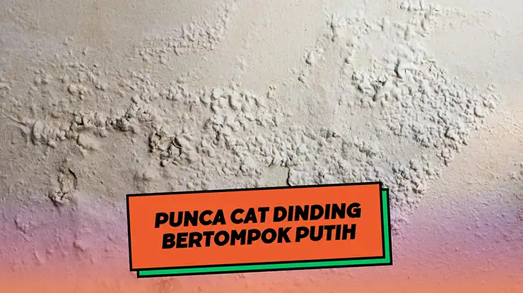 Punca Cat Dinding Bertompok Putih