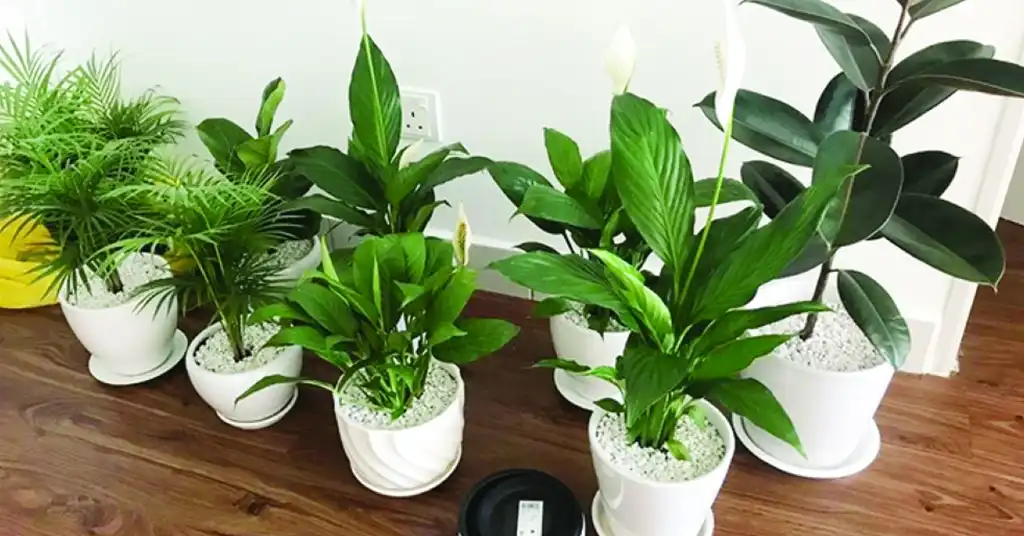 Faktor yang Mempengaruhi Harga Pokok Hiasan Dalam Rumah