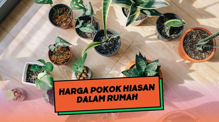 Harga Pokok Hiasan Dalam Rumah